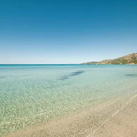 Trilo Del Sole *